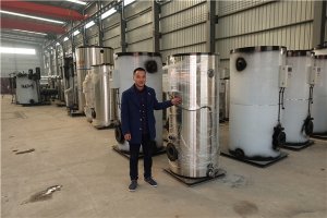 8噸生物質(zhì)蒸汽鍋爐