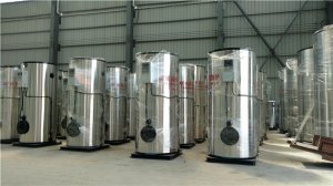 0.2噸生物質導熱油爐