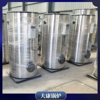 燃?xì)庳灹魇秸羝仩tWNS0.3食品企業(yè)配套