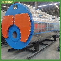 廣西7000kw低氮導油爐