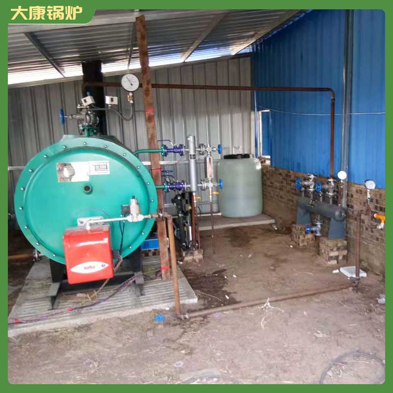 鍋爐生物質(zhì) 蒸汽